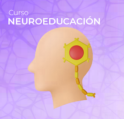 Neuroeducación